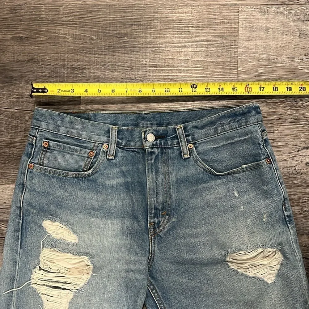 Levis levi strauss